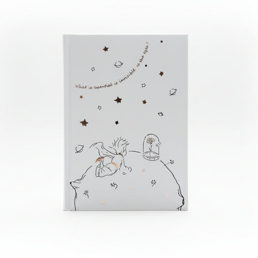 Diario El Principito 128 páginas