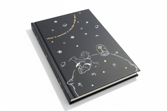 Diario El Principito 128 páginas