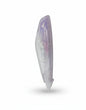 Corrector cinta 6 metros - Twingo